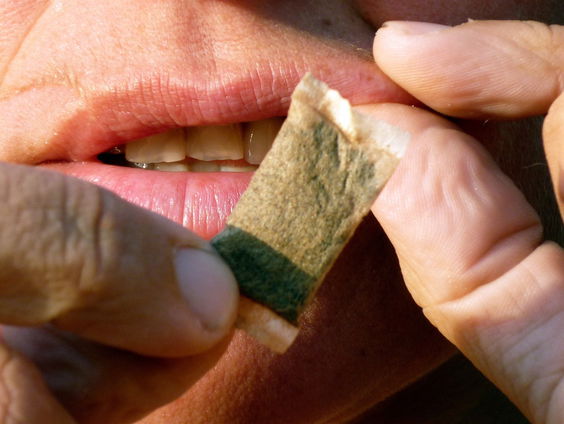 Buitenland Uitgelicht: Zweden