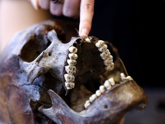 Archeologische vondst in Groningse Rottum