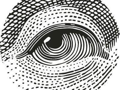 Follow the Money dook in fraudeopsporings-systeem SyRI: van elektriciteitsverbruik tot hondenbezit, alles ...