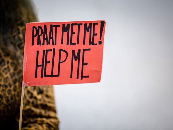 ‘Verkorten van GGZ-wachtlijst zou 300 miljoen per jaar besparen’