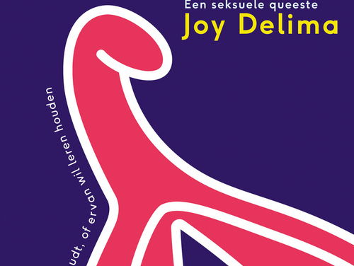 We spreken Volkskrant-columnist Joy Delima over haar boek 'Goed komen'