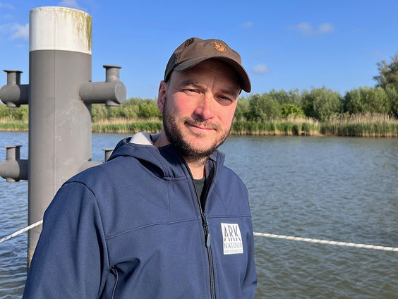 Steur terug in de Biesbosch