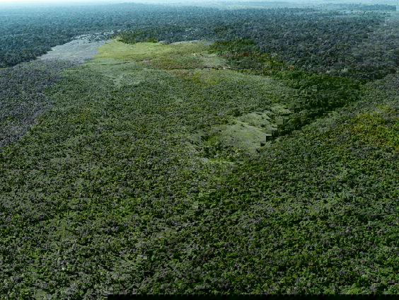 Retimber maakt van landbouwgrond nieuw bos