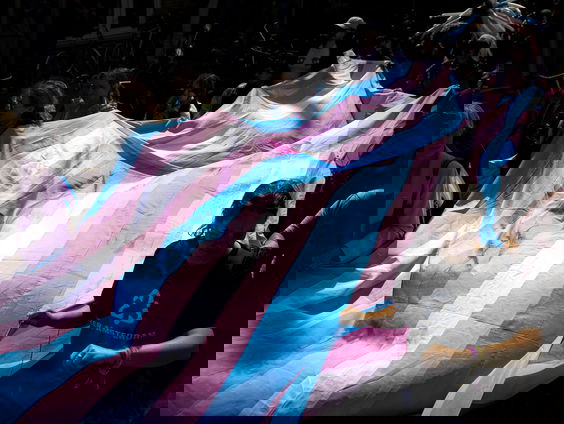 Transgender Netwerk Nederland meldt een explosieve groei van haat tegen transpersonen