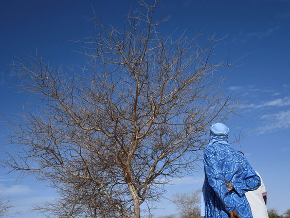 Bureau Buitenland - Klimaatstudio