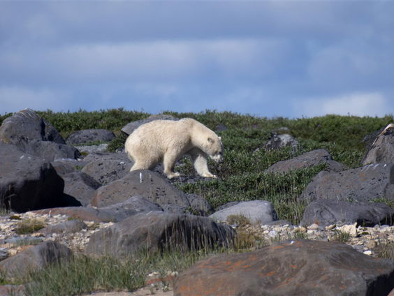 Stand.nl: 'Deze verkiezingen zouden veel meer over klimaat moeten gaan'