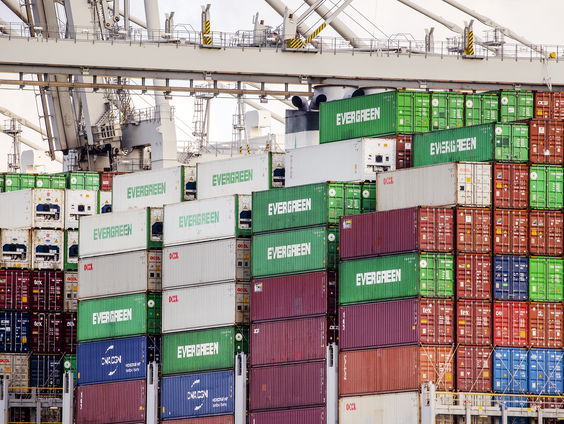 'Wild Port of Europe' laat de prachtige natuur in de Rotterdamse haven zien