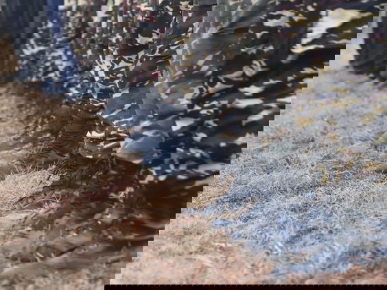 NAVO-commandant Tak houdt rekening met vergroting Nederlandse inzet interventiemacht aan de oostgrens