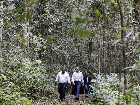 Hoe draagt de ontbossing bij aan het noodweer in Papoea-Nieuw-Guinea?