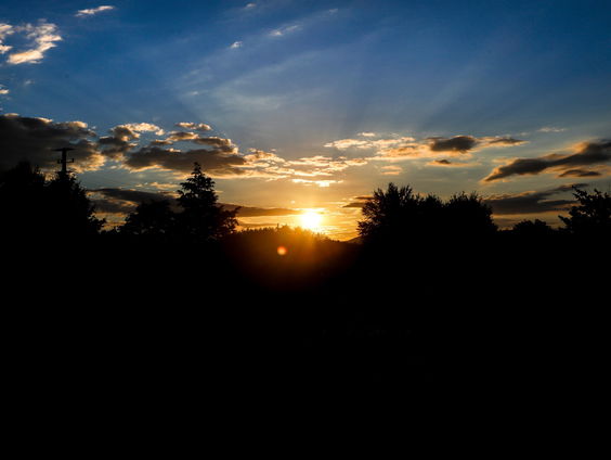 De winterdepressie: wat is het nou precies en wat kun je er tegen doen