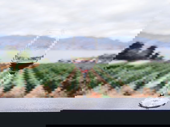 Waarom gaat het niet goed met de wijnbouw in de buurt van Bordeaux?