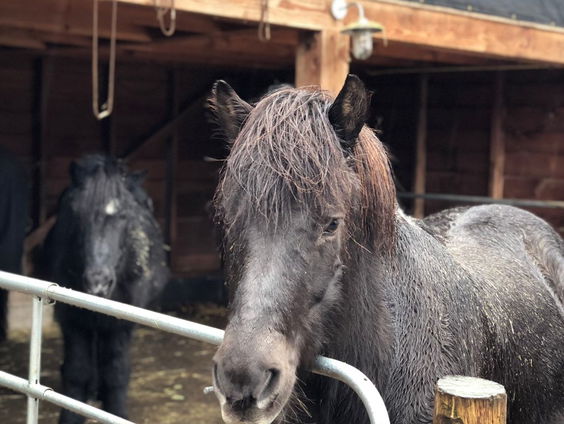 Verhalen van Spraakmakers: de snelheid van tijd - deel 2