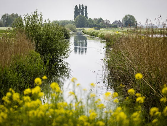 Is water het nieuwe stikstof?