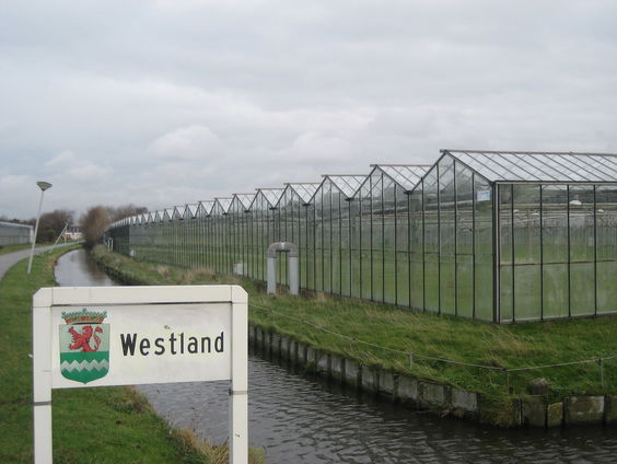 Waarom Westland zich verzet tegen de spreidingswet