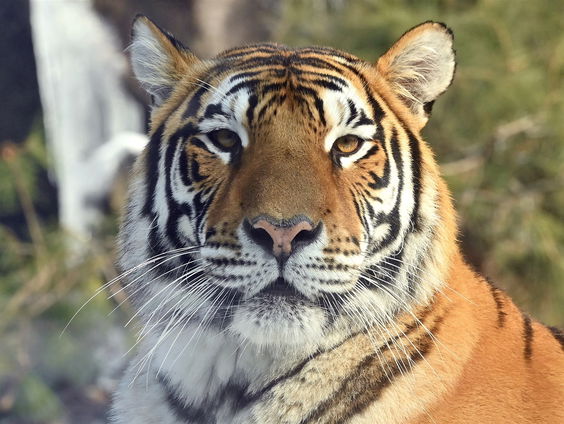 Uitgelicht: Zuid-Korea