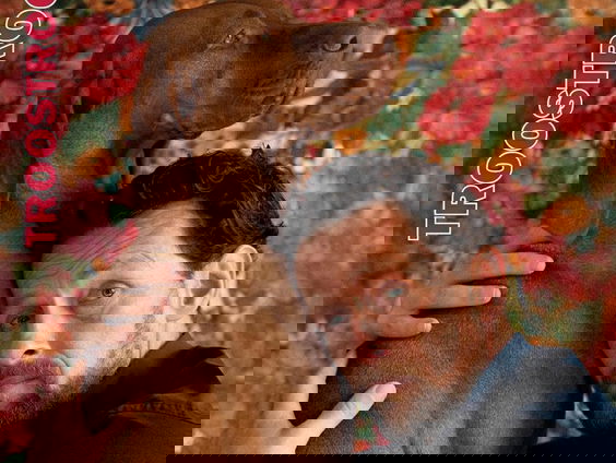 Kwetsbare Marijn Brouwers met nieuwe theatervoorstelling 'Troostroof': een schuld en schaamte coming-out