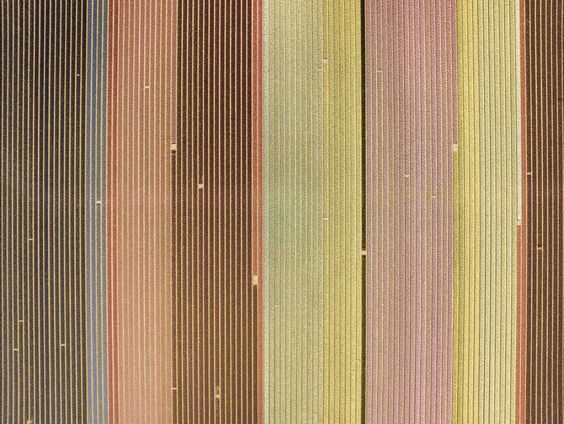 'Nederland is een aangeharkt land'