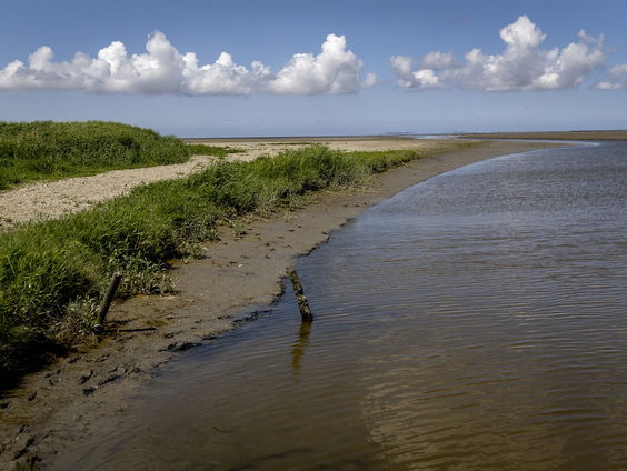 Waddenzee dreigt UNESCO-werelderfgoed status te verliezen