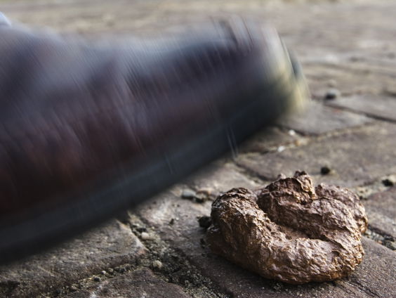 Verplicht DNA-paspoort tegen overlast hondenpoep: goed idee?