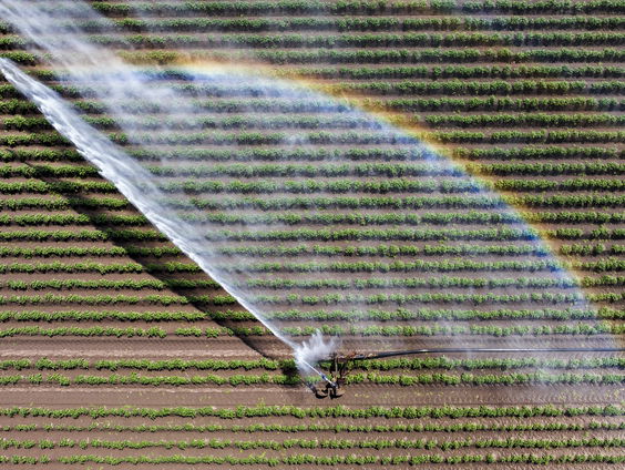 Kans op beregeningsverbod bij langdurige droogte
