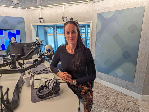 Marieke Liem over onderzoek naar criminaliteit