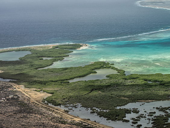 Olie aangespoeld op de kust van Bonaire