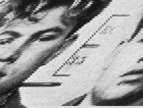 Moet Marinus van der Lubbe worden herbegraven in Leiden?