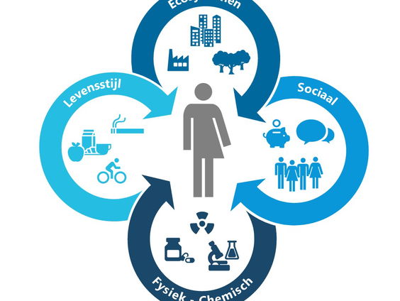 Wat is een exposoom? - In gesprek met de milieu-epidemioloog Roel Vermeulen