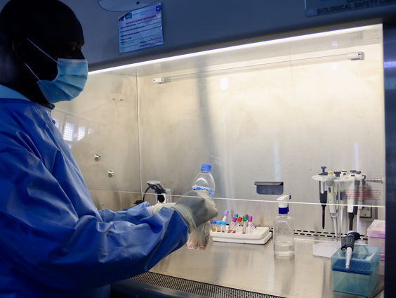 Bureau Buitenland - Zorgen in Nigeria over uitbraak lassavirus