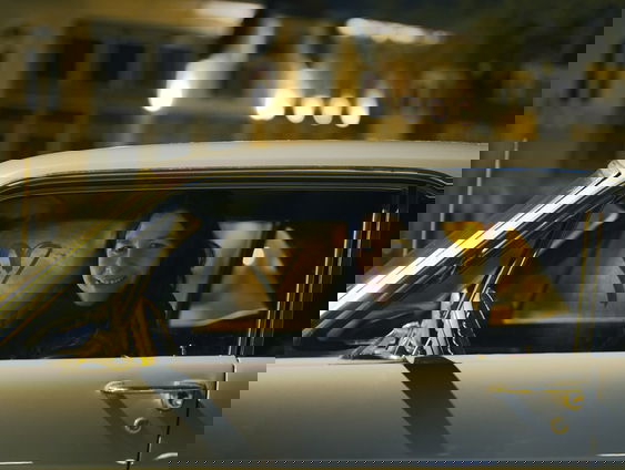 Raven van Dorst op zoek naar 'Nachtdieren' in België