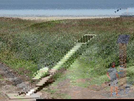 Stoplicht voor recreanten