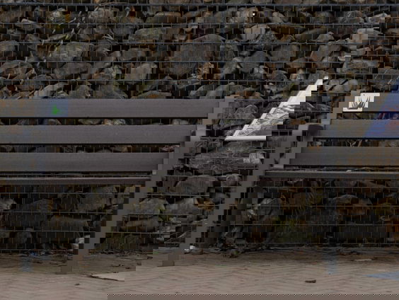 Dierentuin Artis is een zitbankje van olifantenpoep rijker