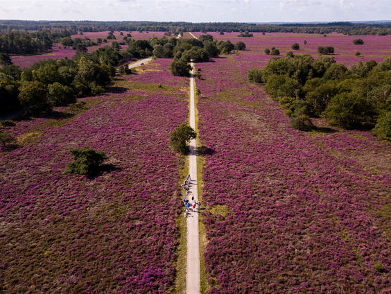 Hoe gaat de natuur in Nederland reageren op klimaatverandering?
