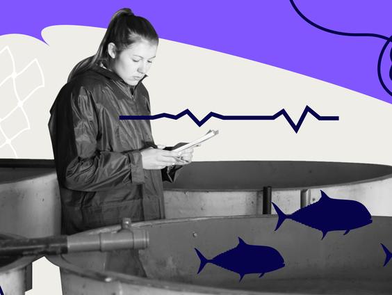 Wat is er mis met de kweekvis?