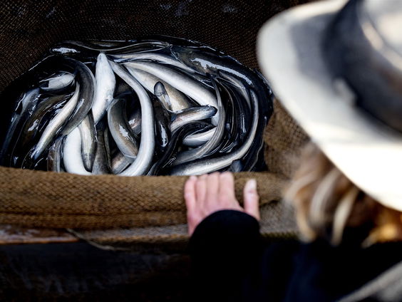 Buitenland Uitgelicht: Canada