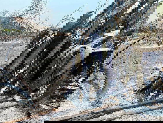 Extreem hoge temperaturen in Zuid-Europa