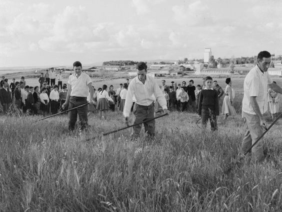 De dubbelzinnige positie van de kibboets