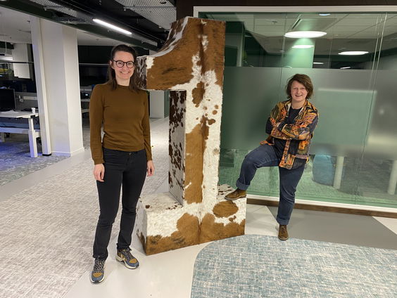 Terugkeer naar het oude oorlogsgebied helpt veteranen met het verwerken van de oorlog