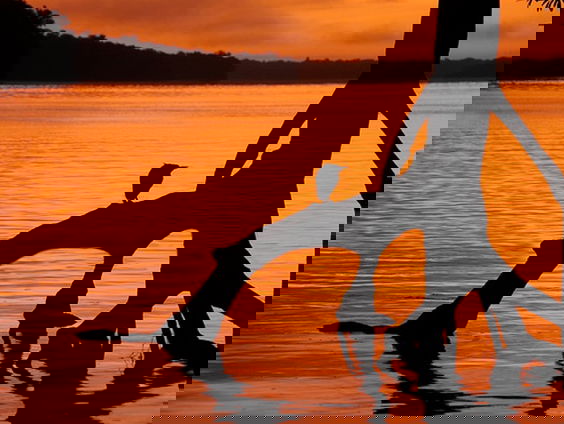 Wat leren Surinaamse en Nederlandse biologen van elkaar?