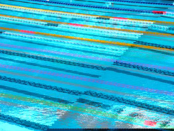 Transvrouwen in de topsport