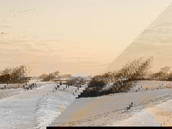 Fenolijn 3 april 2022