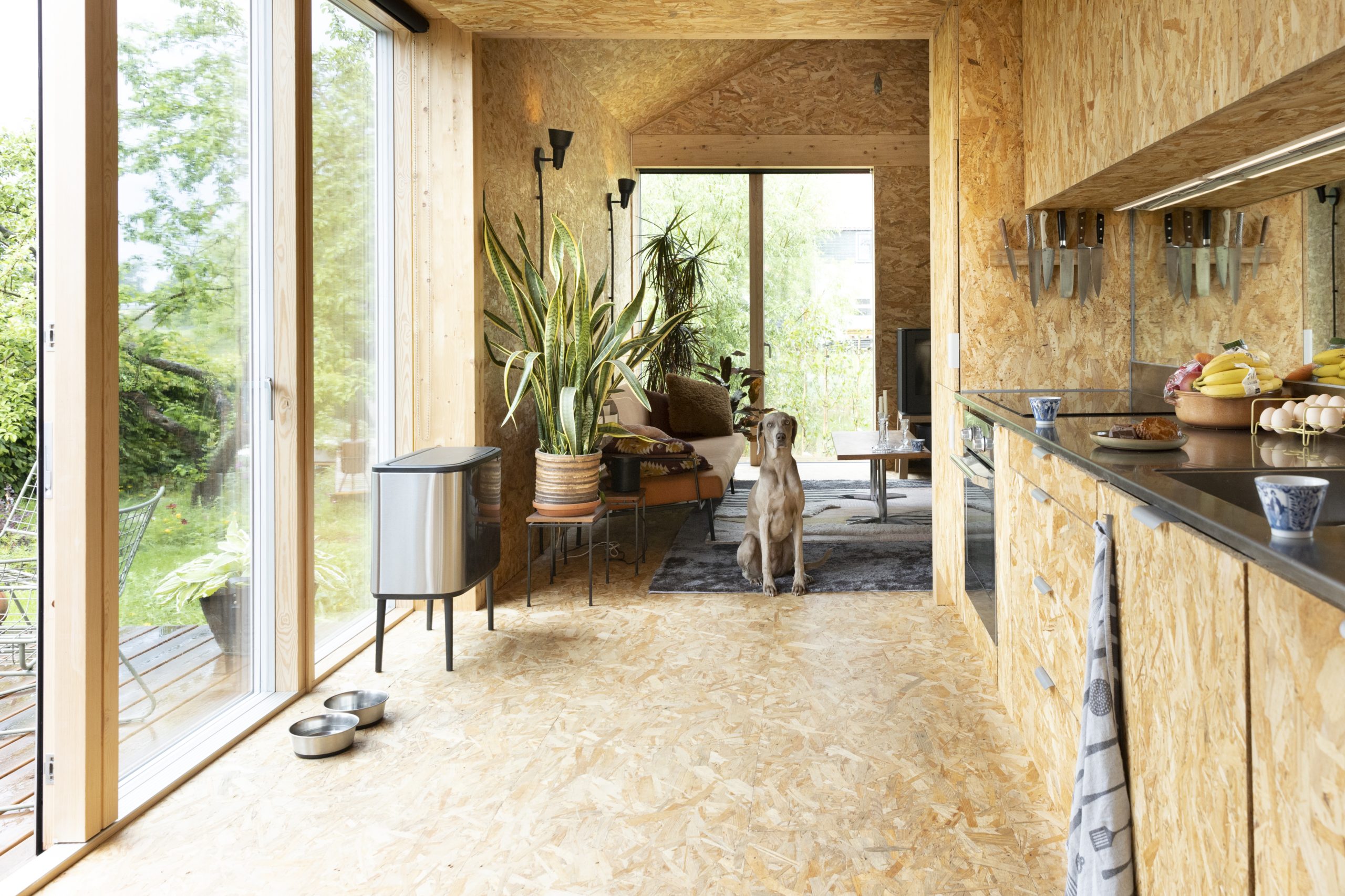 Prijs voor ecologische woning van hout