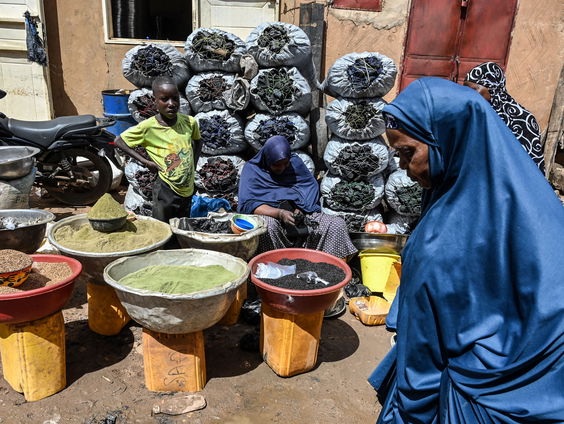 Hoe is de humanitaire toestand in Niger?