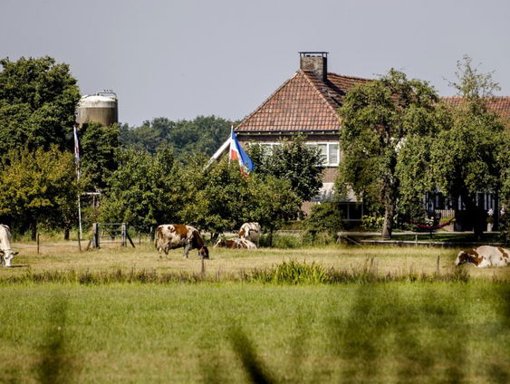 Stand.nl: De nieuwe minister van landbouw moet een boerenachtergrond hebben