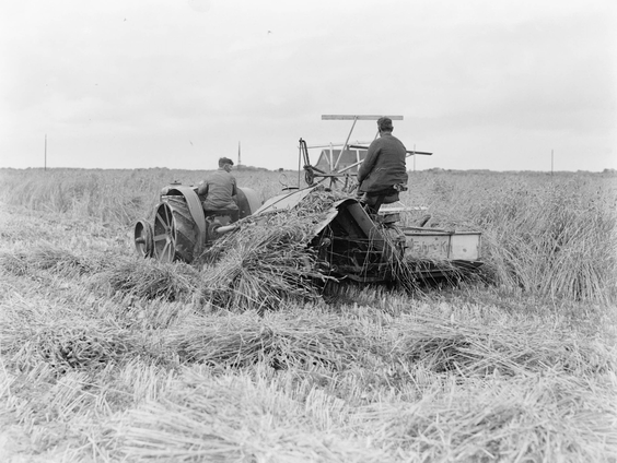 Leidt BBB’s landbouwbeleid tot minder boeren?