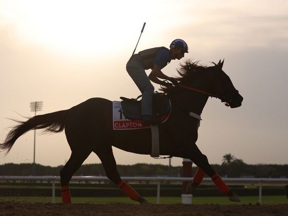 Zo weet je of een paard pijn heeft