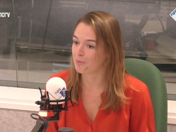 Het Taalloket: Fieneke Jochemsen over 'historisch'