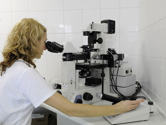 Buitenland Uitgelicht: Tsjechië