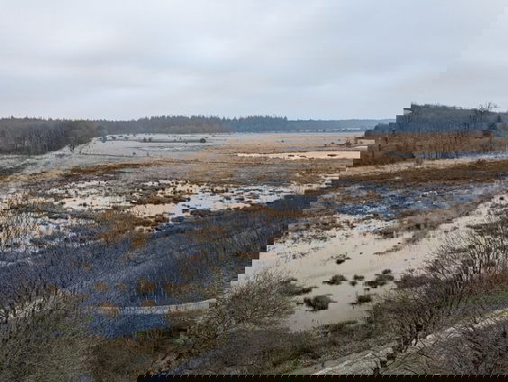 Drentsche Aa vereeuwigd door twintig kunstenaars