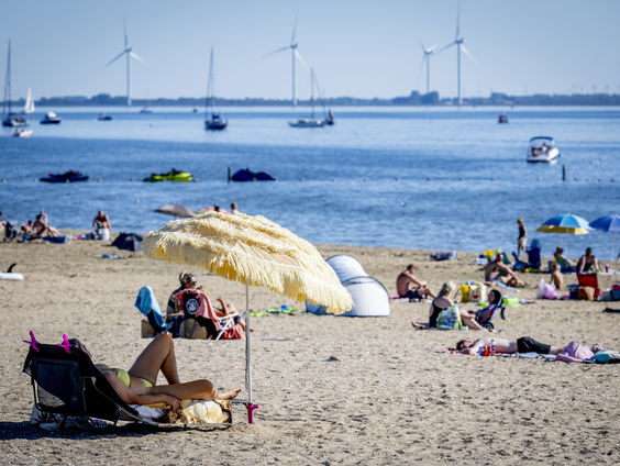 Welke effect heeft warmste jaar ooit gemeten?